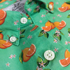 Oranges Print